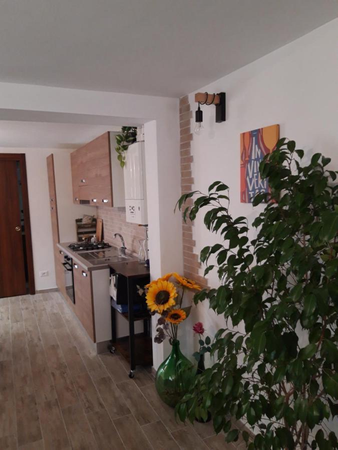In Vino Veritas Sulmona Exteriör bild