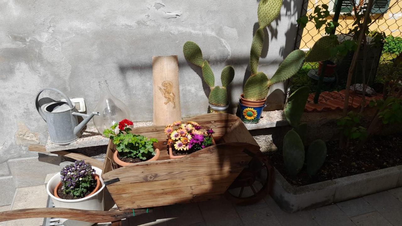 In Vino Veritas Sulmona Exteriör bild