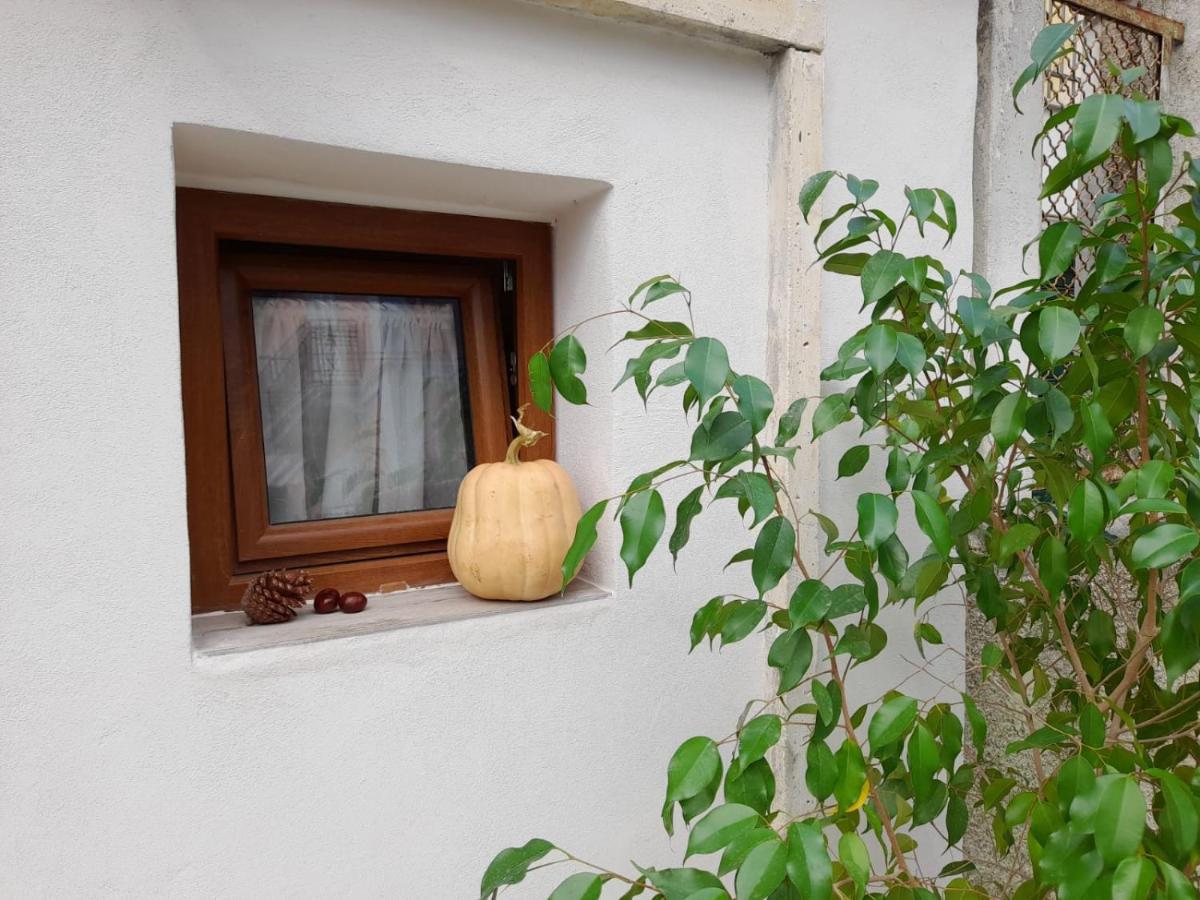 In Vino Veritas Sulmona Exteriör bild